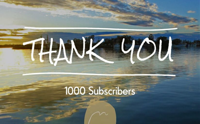 1000 subscribers
